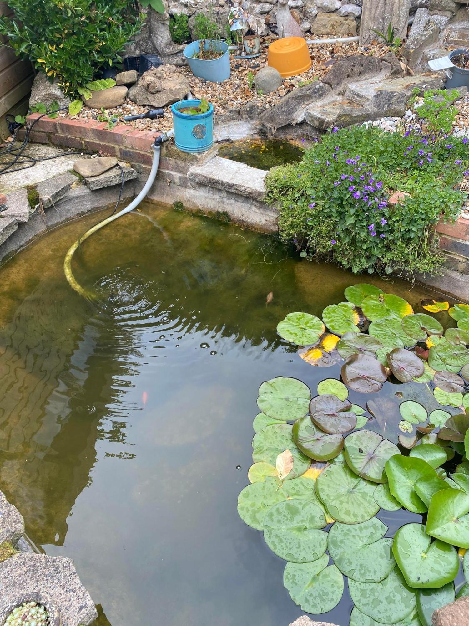 Pond Cottage Purley Kültér fotó