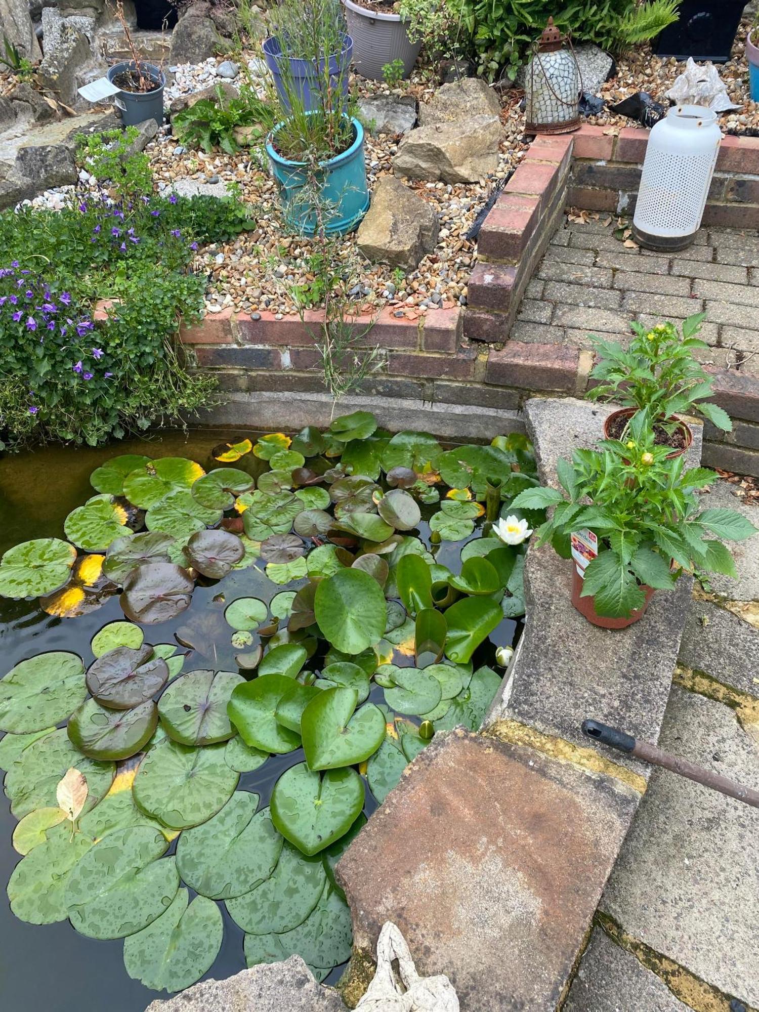 Pond Cottage Purley Kültér fotó